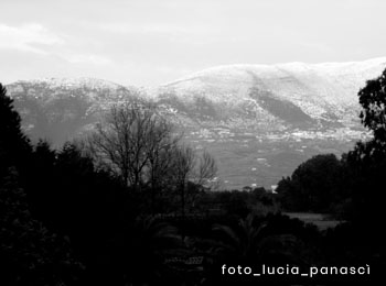 Transito Napoli